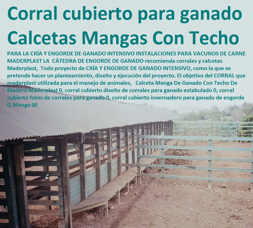 Calceta Manga De Ganado Con Techo De Madera Maderplast 0, corral cubierto Mangas De Coleo, Corral Caballerizas, Pesebreras De Caballos, Plaza Toros, Brete Ganadero, Apretaderos Embarcaderos, Postes Tablas, Polines Varetas, Mangas De Coleo, Horcones Madera Plástica, Corrales, Establos De Ganado, diseño de corrales para ganado estabulado 0, corral cubierto fotos de corrales para ganado 0, corral cubierto invernadero para ganado de engorde 0, Manga 00